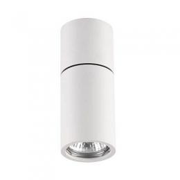 Изображение продукта Потолочный светильник Odeon Light Duetta 